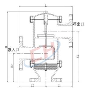 带双接管阻火呼吸阀结构图